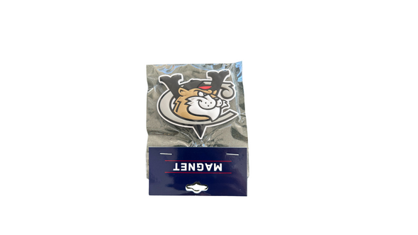 Tri-City ValleyCats 3D Primary Logo Magnant